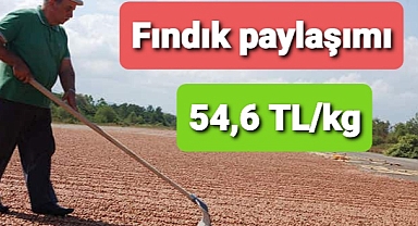 Güldal'dan fındık açıklaması: 54,6 TL/kg gelen fındığı ile başladık