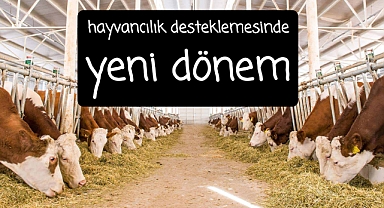 Hayvancılık desteklemelerinde yeni bir dönem başlıyor..