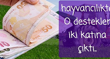 Hayvancılıkta o destekler iki katına çıkarıldı.. 