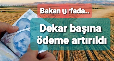 Hububatta dekar başına verilen destekler arttı. ..