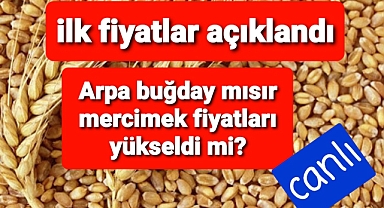 ilk bilgiler geldi. arpa mercimek mısır buğday fiyatları yükseldi mi?