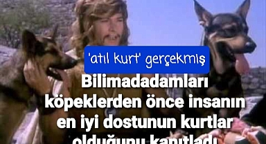 Köpeklerden önce en iyi dostumuz kurtlarmuş...