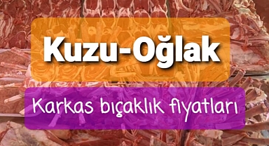 Kuzu oğlak bıçaklık karkas et fiyatları