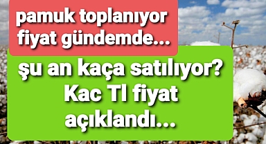 Pamuk fiyatları gündemde