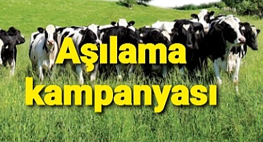 Şap'a karşı aşılama kampanyası..