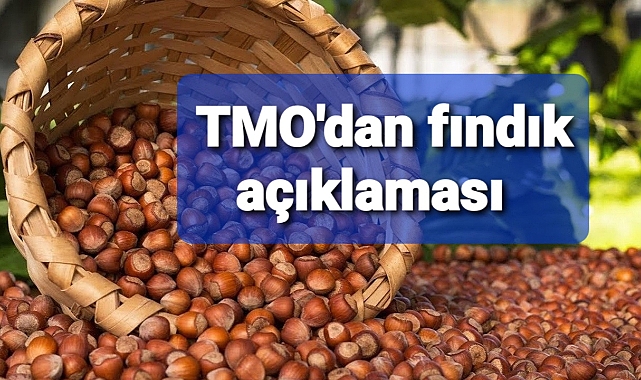 TMO'dan fındık açıklaması