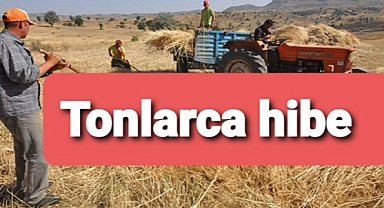 Üreticilere tonlarca buğday, arpa ve tritikale tohumu dağıtıldı