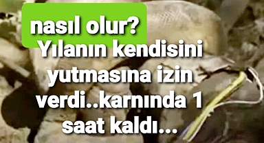 Yılanin kendisini yutmasını sağladı.karninda 1 saat geçirdi
