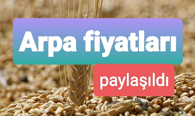 Arpa fiyatları paylaşıldı