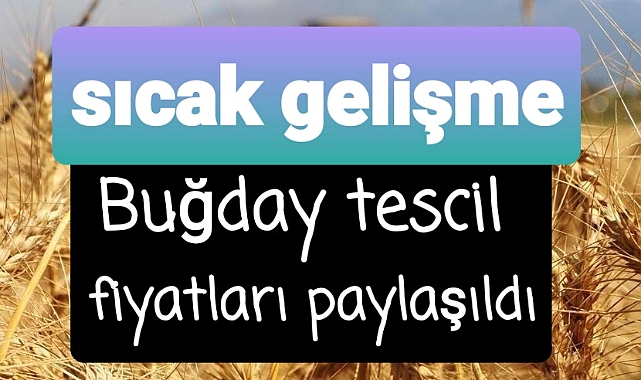 Buğday fiyatları açıklandı..