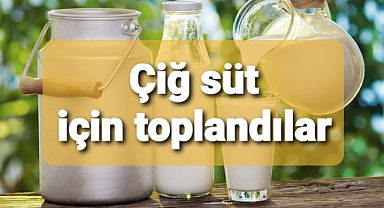 Çiğ süt için toplandılar