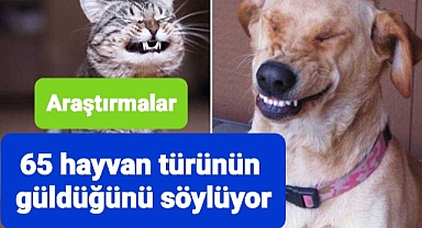 Gülen hayvanlar bilimsel olarak açıklanıyor