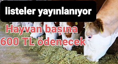 Hastalıktan Ari İşletme ve Onaylı Süt Çiftliği Desteklemelerine