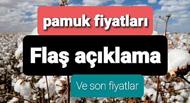 Pamuk fiyatı yakından takip ediliyor