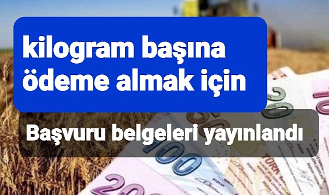 Sertifikalı tohum kullanım desteği