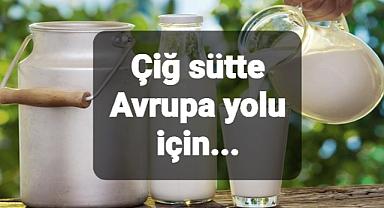 Onaylı Süt Çiftliği Sertifikası Avrupa'ya...