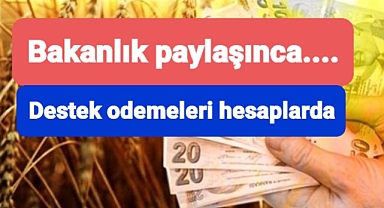 Bakanlık destek ödemelerini paylaştı