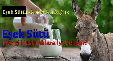Eşek Sütü Anne Sütüne Benziyor Mu?