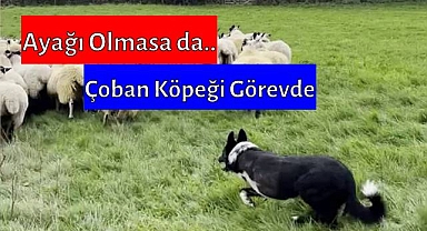 Görevini Bırakmıyor