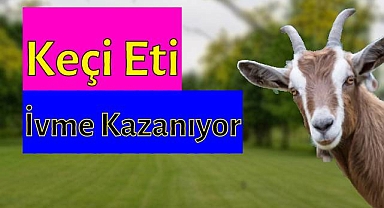 Keçi Eti Üretimi Artıyor