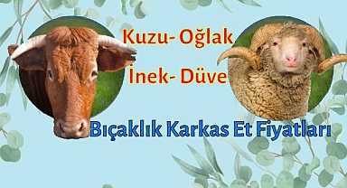 Kuzu, oğlak, inek, düve bıçaklık karkas et fiyatları açıklandı