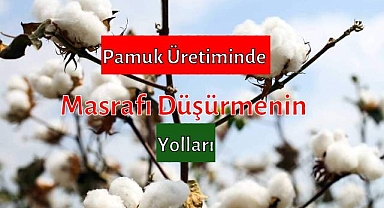 Pamuk Üretiminde Masrafı Düşürmek Mümkün Mü?
