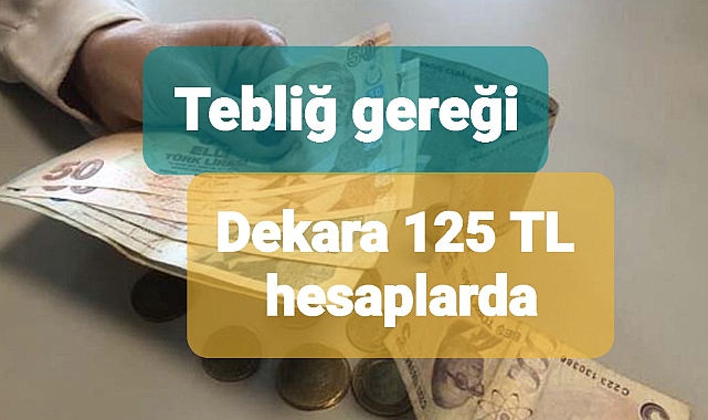 Patates siğili desteği hesaplarda