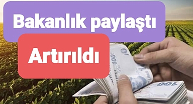 Tarıma dayalı hibe üst limit 5 milyon liradan 7 milyon liraya çıkarıldı