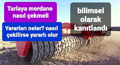 Tarlaya merdane çekilmesinin faydaları?
