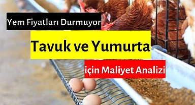 Tavuk ve Yumurta İçin Maliyet Analizi