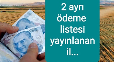 Tarım ve hayvancılık destekleri, gübre ve mazot ile yem bitkileri ne kadar?