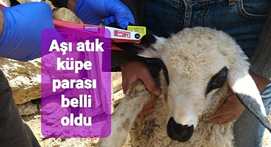 aşı atık ve küpe desteği ödemeleri belli oldu