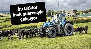 İnek gübresi ile çalışan traktör