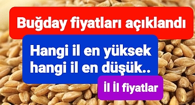 Buğday fiyatları paylaşıldı