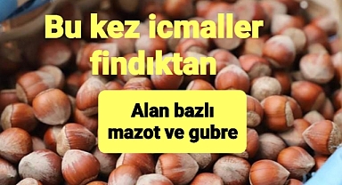 Fındık Alan Bazlı Gelir Desteği ile Mazot ve Gübre Desteği