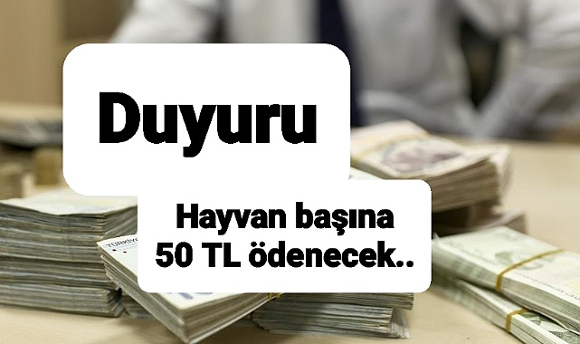 Hayvan başına 50 TL verilecek