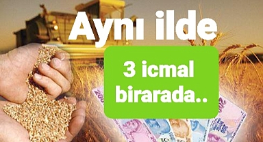 Tarımsal destek icmalleri yayınlanmaya devam ediyor