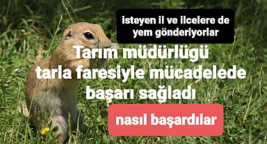 Tarla faresiyle mücadele edip başardılar