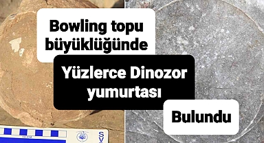 Titanosauria yumurtaları bulundu