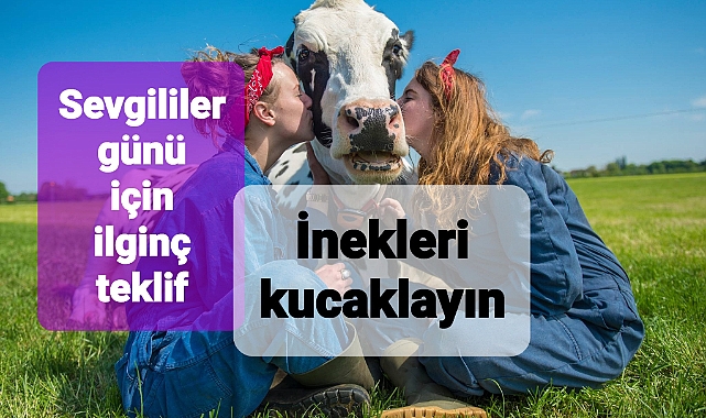 Sevgililer günü için ilginç çağrı