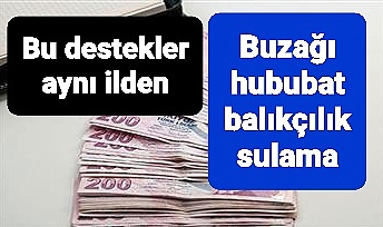 Tarım ve Hayvancılık destekleri açıklandı
