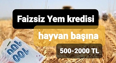 Çiftçilere faizsiz yem kredisi