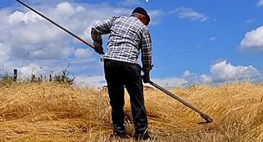 ÇKS kaydı olmayan düşük gelirli sermayesiz çiftçilere hibe