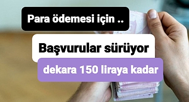 Dekara 150 liraya kadar ödeme