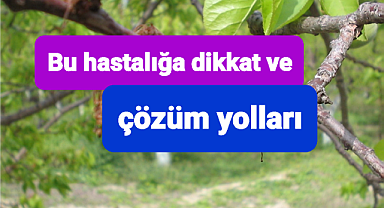 Tarım müdürlüğü bu hastalık konusunda uyardı