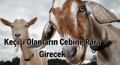 Keçisi Olanların Cebine Para Girecek..