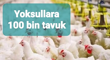 Bill Gates'ten yoksullara 100 bin tavuk