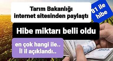Çiftçilere yapılacak hibe miktarı açıklandı