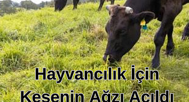 Hayvancılık İçin Kesenin Ağzı Açıldı
