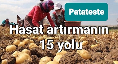 Patates Hasadınızı Arttırmak İçin Mucize 15 Yöntem!
